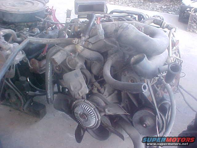 mvc005s.jpg 