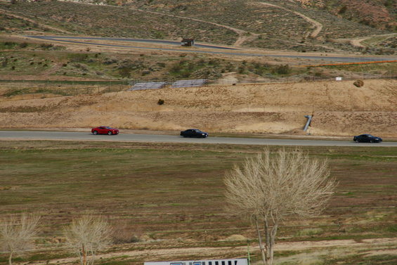 dsc00191.jpg 