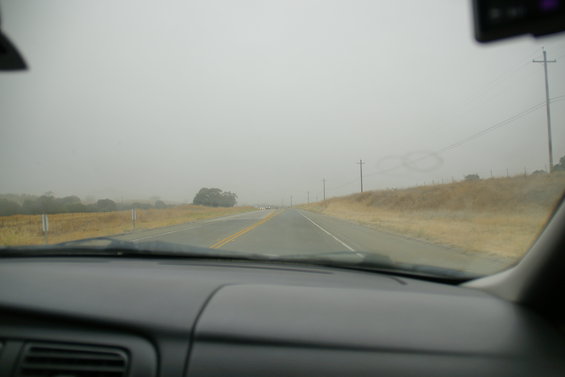 dsc09422.jpg 