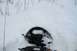 1990 Arctic Cat El Tigre EXT - A snowmobile is partially buried in snow, with black gloves resting on the handlebars.