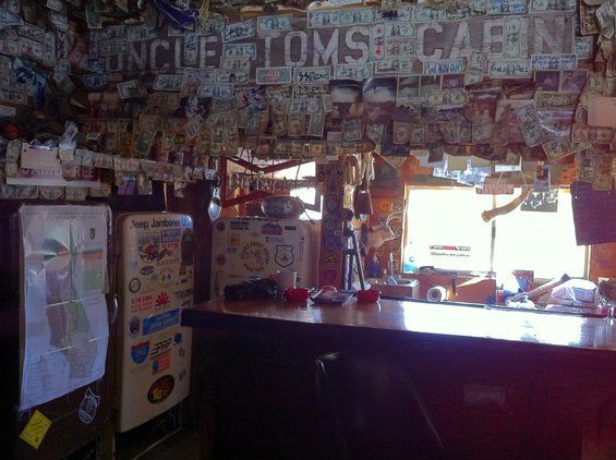 Bar interior with money and license plates on walls, two refrigerators, and a counter