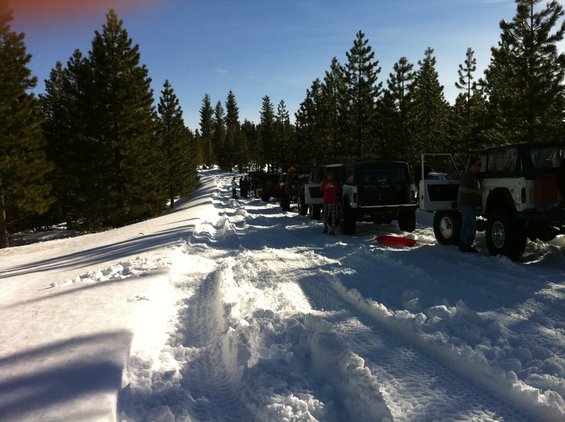 Line of SUVs parked on a snow-covered road with trees in the background