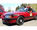 1995 Ford Crown Victoria photo