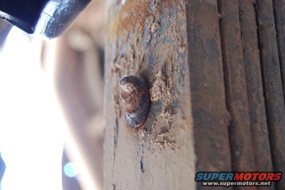 Close-up of a rusted metal component with a bolt head, showing significant corrosion and texture