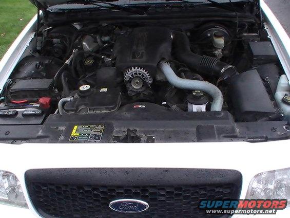 crownvic17.jpg 