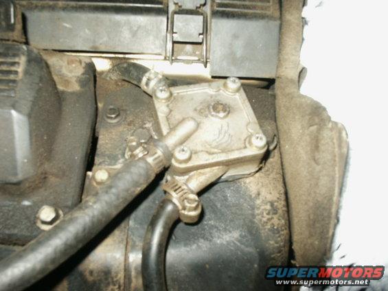 Fuel pump with hoses attached