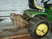 1966 Ford Bronco - A green John Deere tractor is parked with chains on its rear tire and a large bundle of chains attached to the hitch.