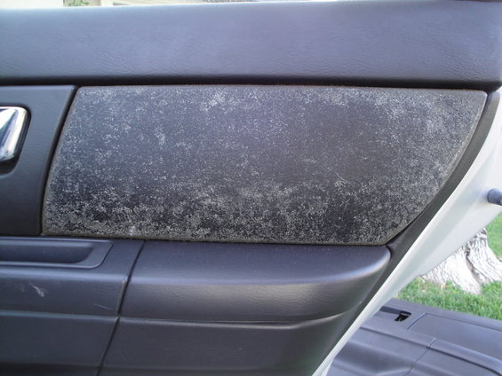 Close-up of a car's interior door panel with a textured insert that is peeling and discolored