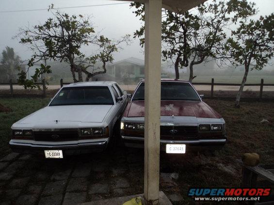 Two Ford Crown Victorias parked outside on a foggy morning. One is white, the other is maroon