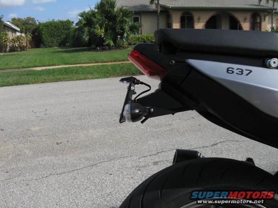 tail-bobbed-(1).jpg Side view of tail bobbed.  