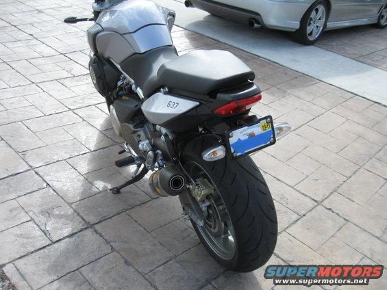 tail-bobbed-(4).jpg Another angle.