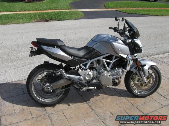 tail-bobbed.jpg At a distance.  