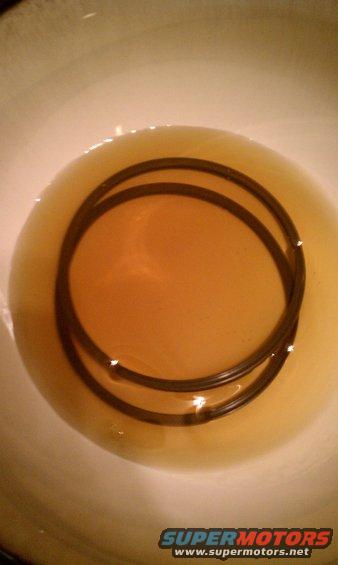 imag0033.jpg