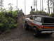1978 Ford Bronco photo