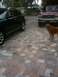 2007 Infiniti FX35 - A black SUV and a red pickup truck are parked on a paved driveway, with a golden retriever standing between them.