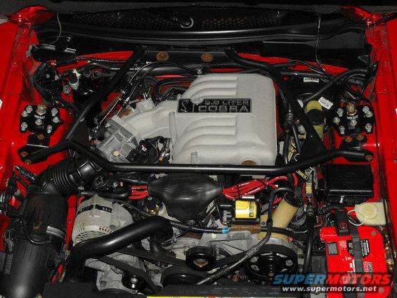 Engine bay with a 5.0L Cobra intake manifold, red wiring, and a red battery