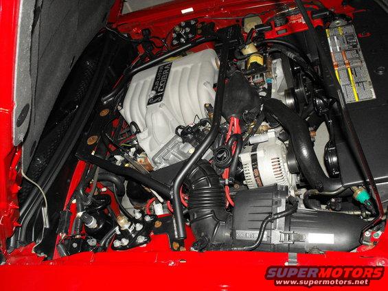 Engine bay with "5.0 Liter COBRA" intake manifold, alternator, and red fender liners