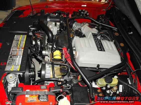 Close-up of a 1994 Ford Mustang Cobra 5.0 liter engine, showing the intake manifold, battery, and various hoses and belts