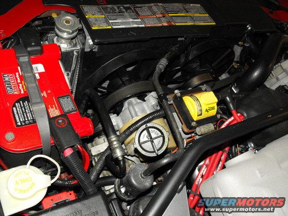 Engine bay with red Optima battery, yellow Accel ignition coil, and SuperMotors.net watermark