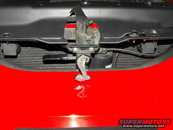 Cobra emblem on red car hood, near the latch mechanism. Reflective surface shows a number 2