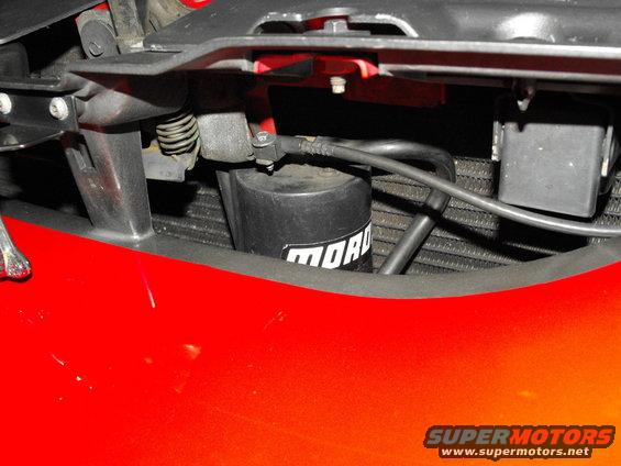 Black oil filter with white 'MOROSO' text, mounted in red vehicle's engine bay near radiator