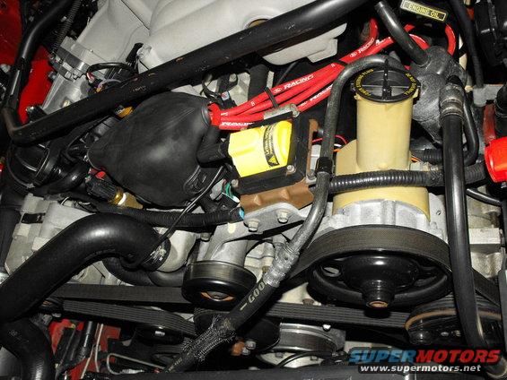 Engine bay detail showing power steering pump, ignition coil, and red spark plug wires