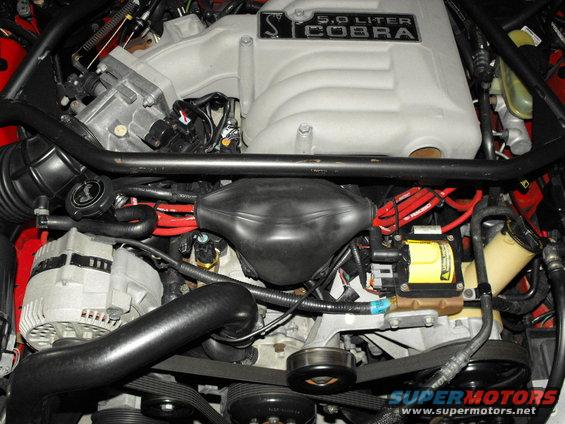 Close-up of a Ford 5.0 Liter Cobra engine, showing intake manifold, alternator, and wiring