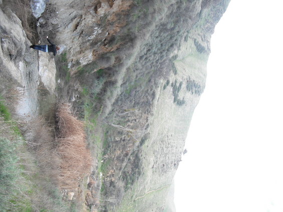 Person standing on a rocky cliff face with sparse vegetation