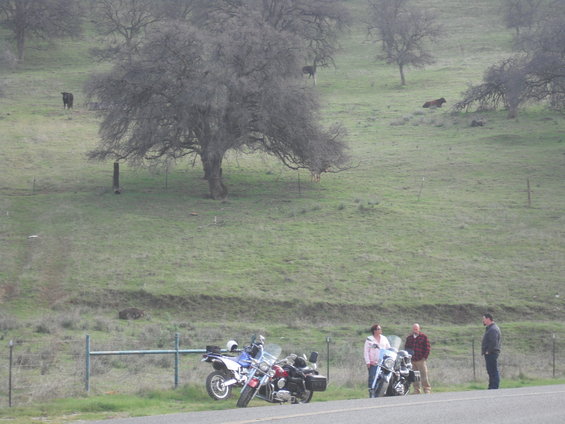 Three people stand by two parked motorcycles on the side of a road. A grassy hill with trees and cows is in the background