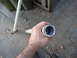 DSC01709.JPG