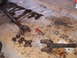 1979 Ford Bronco - Disassembled driveshaft components lie on a surface with visible markings and oil stains.