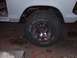 1979 Ford Bronco
