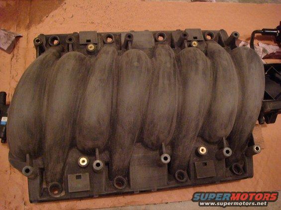 Dusty black plastic intake manifold with eight runners