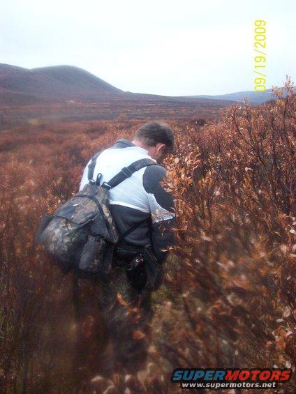 Person with backpack in a brushy landscape with mountains in the background