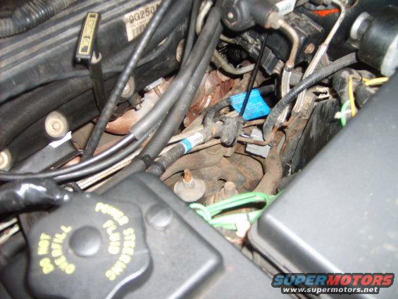 Engine bay with power steering fluid reservoir cap and various hoses and wires visible