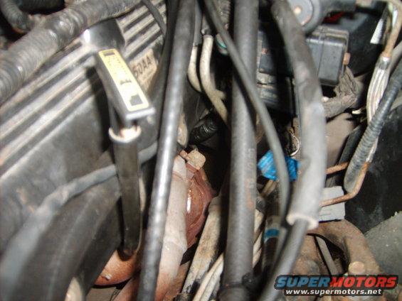 Close-up of an engine bay, showing hoses, wires, and an oil dipstick with markings