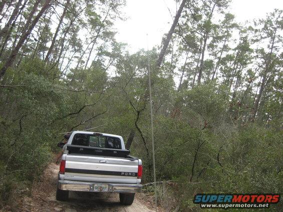 img_0155.jpg 