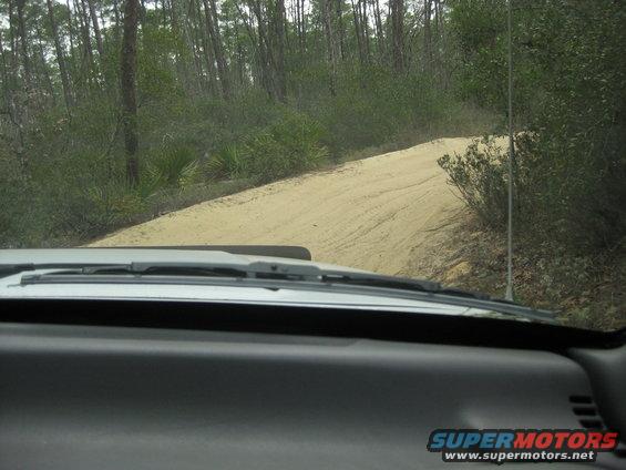 Interior view of a vehicle on a dirt road in a forest