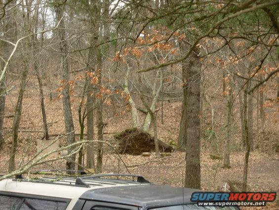 11022703uproot.jpg A few tornados blew through Thur night, and this was the result.