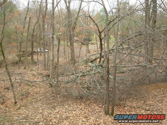 11022710uproot.jpg A few tornados blew through Thur night, and this was the result.