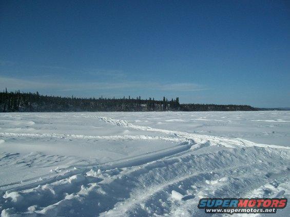 Snowy landscape with tracks and a distant treeline under a blue sky
