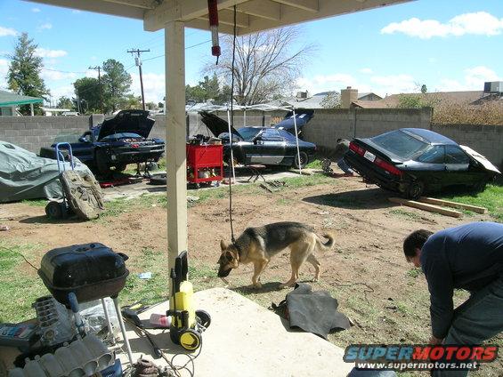 dscn2925.jpg 