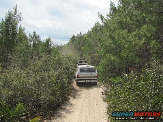 White SUV and another vehicle drive down a dirt road through a forest