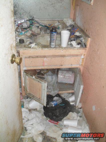 Utterly Disgusting Bathroom
