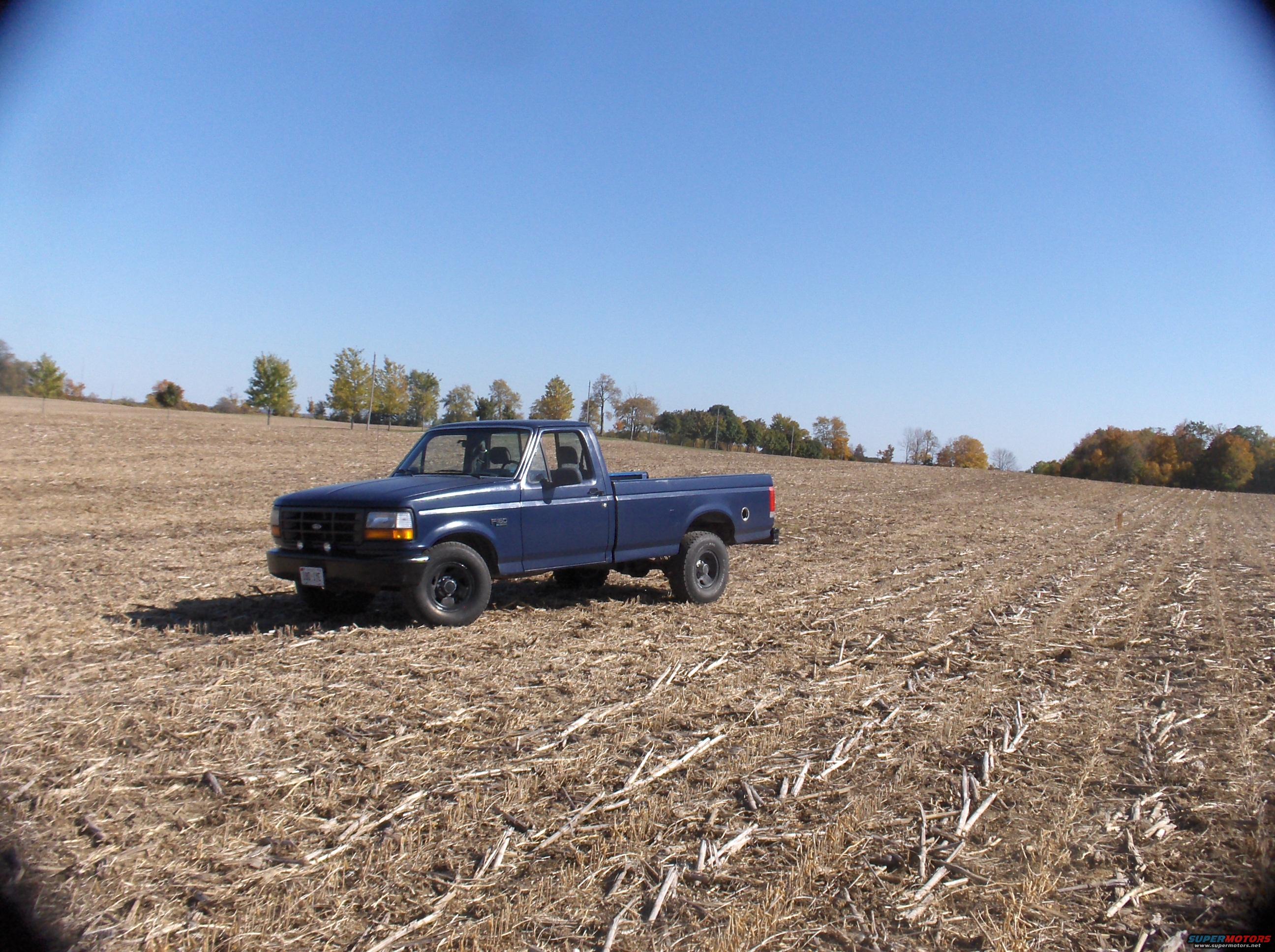 1994 Ford F-150 photo
