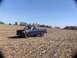 1994 Ford F-150 photo
