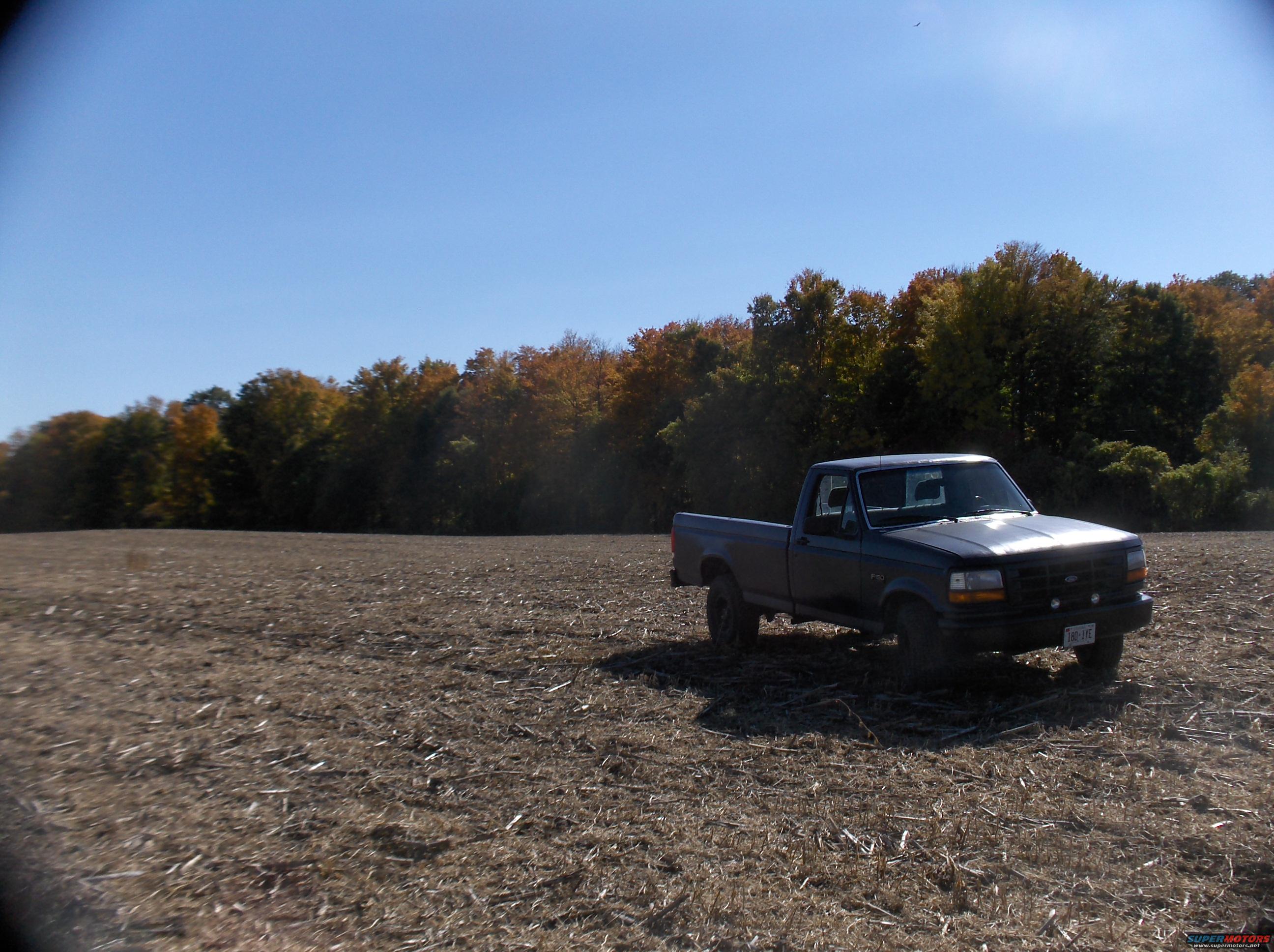 1994 Ford F-150 photo