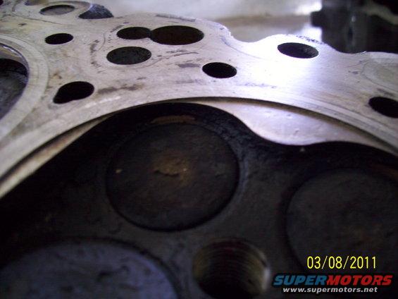 100_0647.jpg 