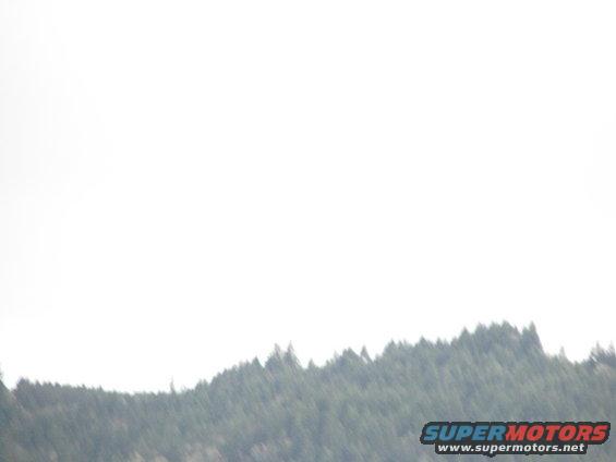 Forest canopy against a bright sky with Supermotors logo