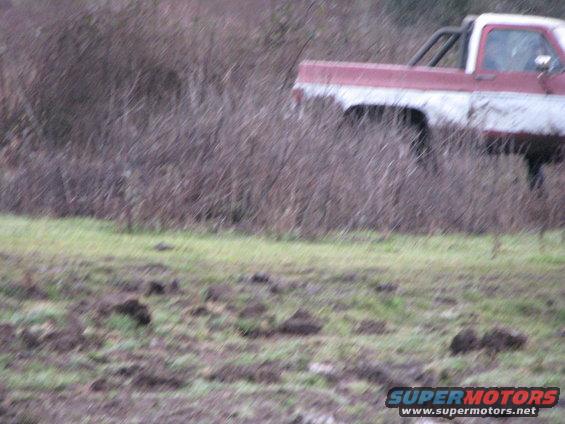 Two-tone red and white pickup truck with a roll bar, partially obscured by brush